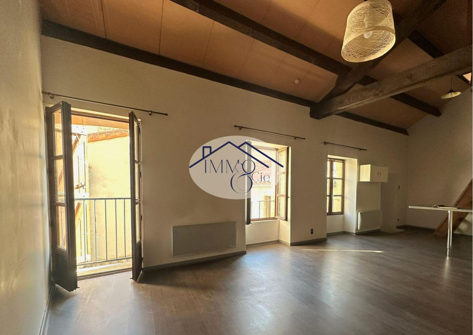 appartement 2 pièces - ST-AFFRIQUE