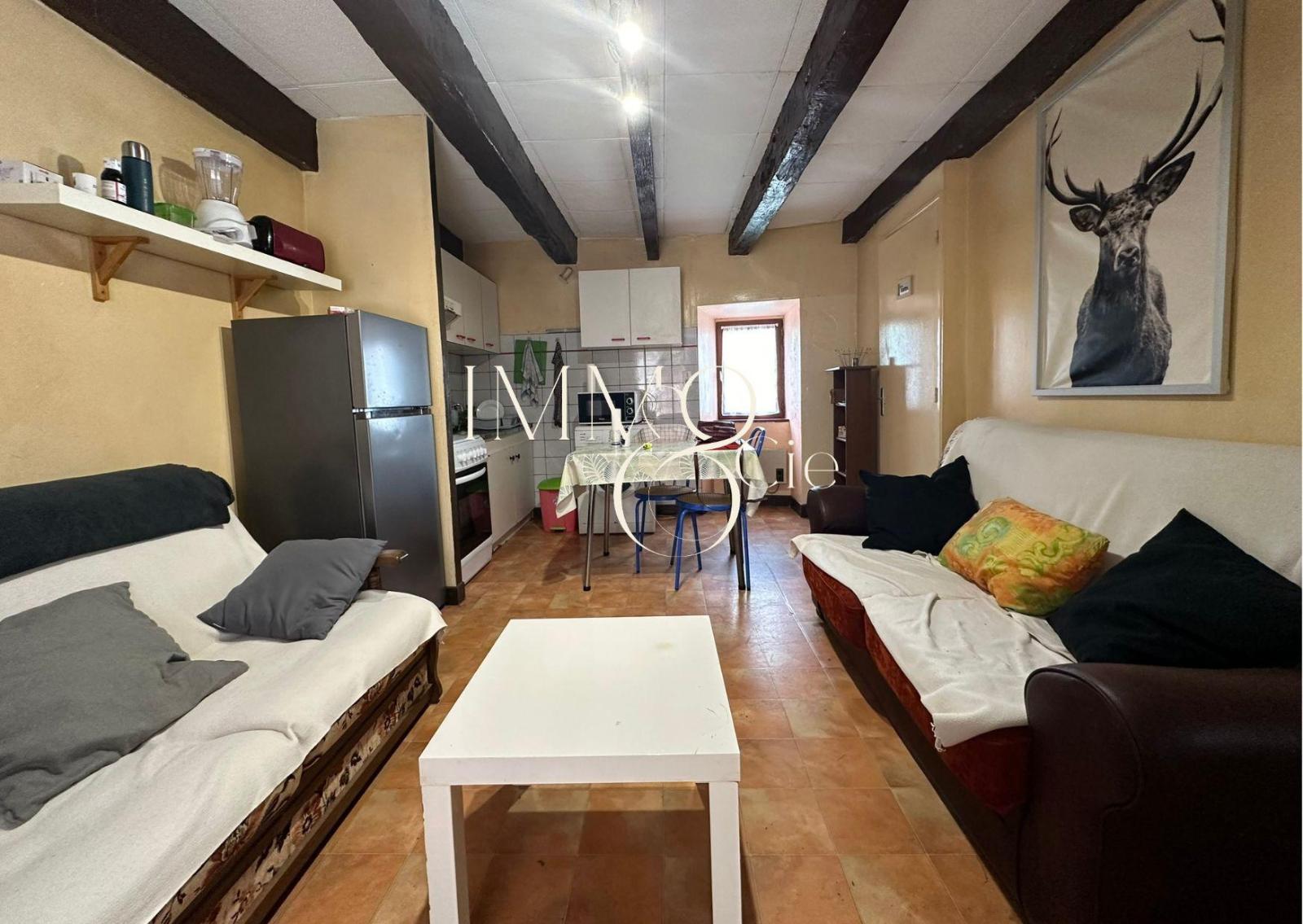 appartement 3 pièces - ST-SERNIN-SUR-RANCE