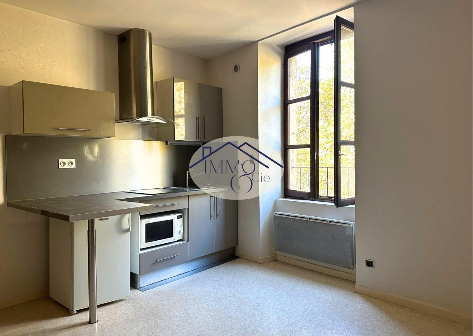 appartement 2 pièces - ST-AFFRIQUE